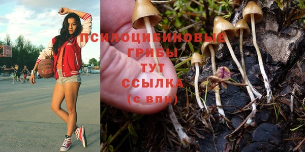 тгк Армянск