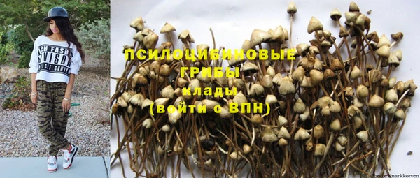 прущая мука Арсеньев