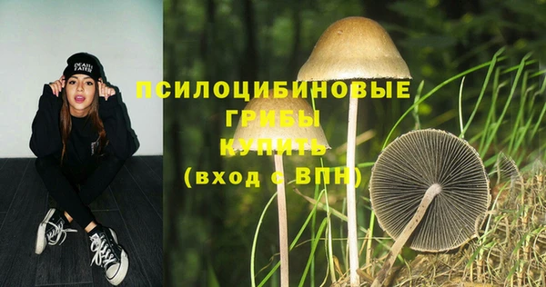 PSILOCYBIN Алзамай