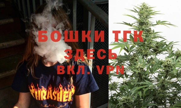 прущая мука Арсеньев