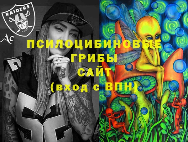 шишки Аркадак