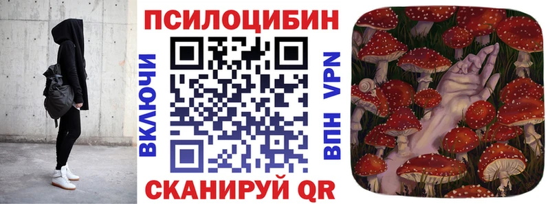 Псилоцибиновые грибы MAGIC MUSHROOMS  купить наркоту  Судак 